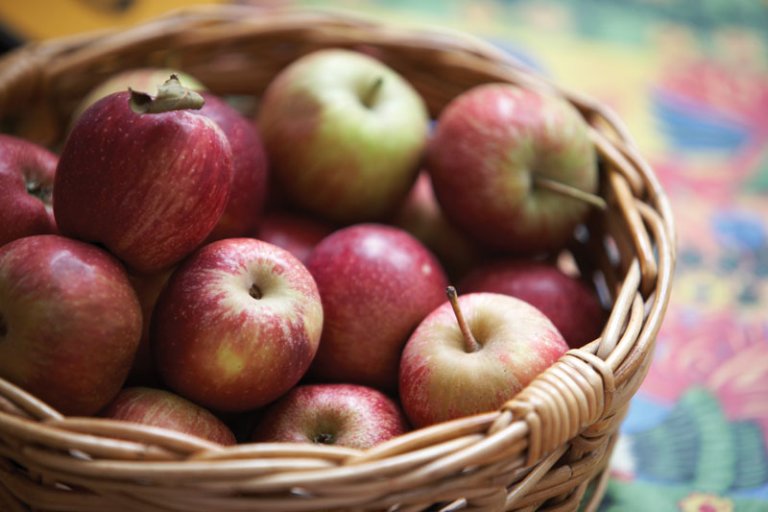 Menus/School Fruit and Vegetable Scheme Stannington Infant School
