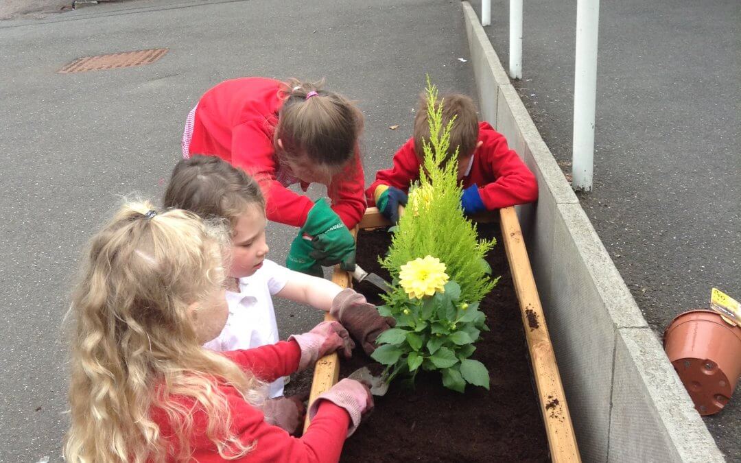 Playground Planters