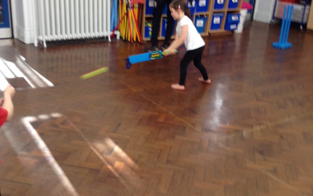 Y1 Cricket