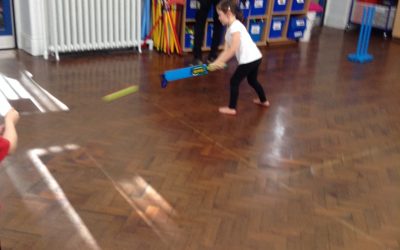 Y1 Cricket