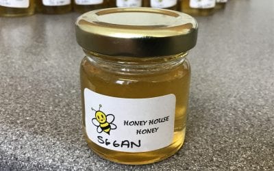 Honey Day!!