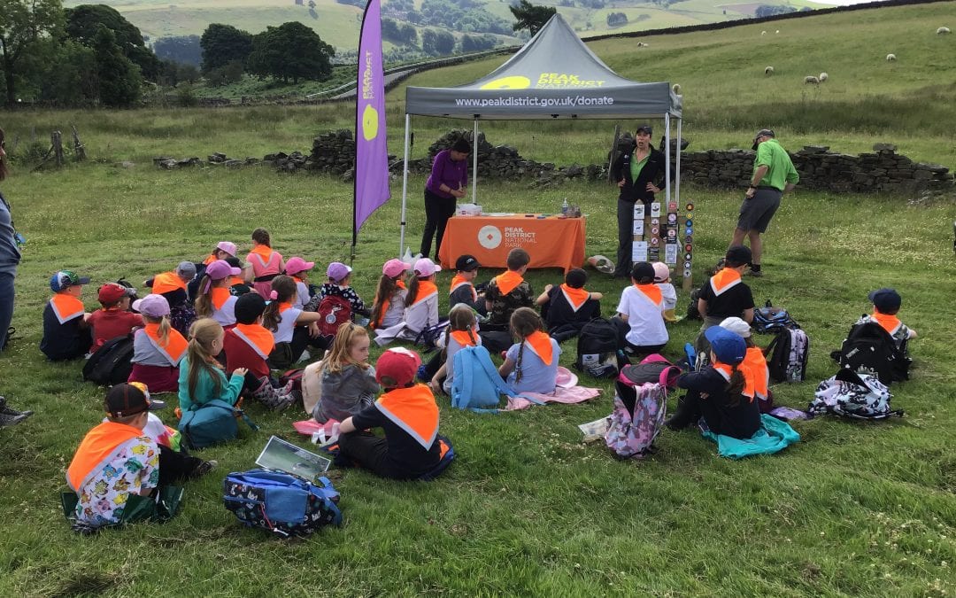 Strines Moor Visit Year 2
