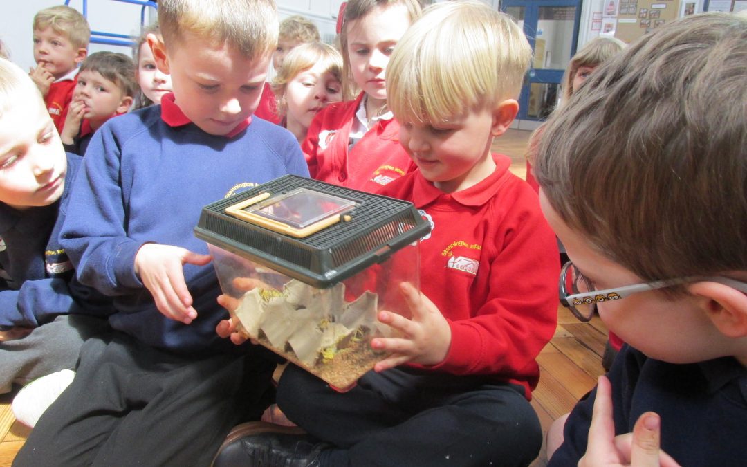 What an animal-tastic day!