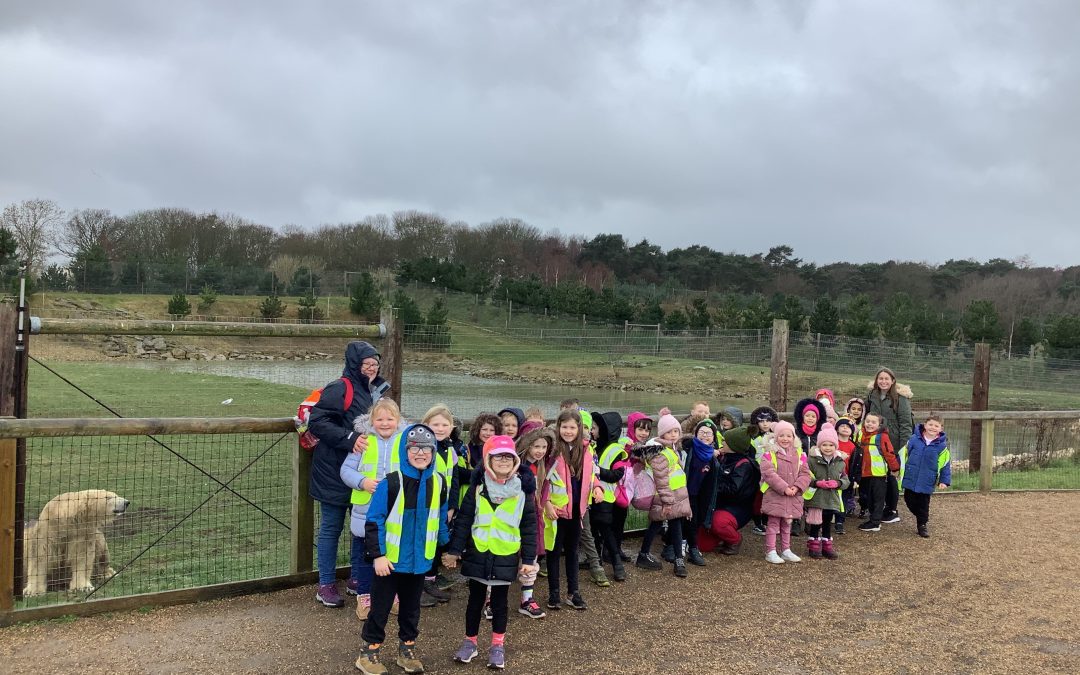 Yorkshire Wildlife Park