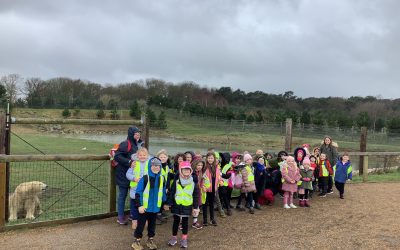 Yorkshire Wildlife Park