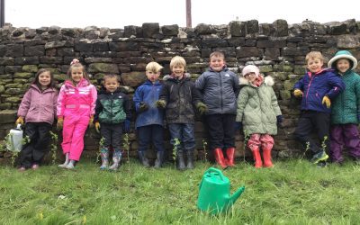 Eco Club – Tree Planting