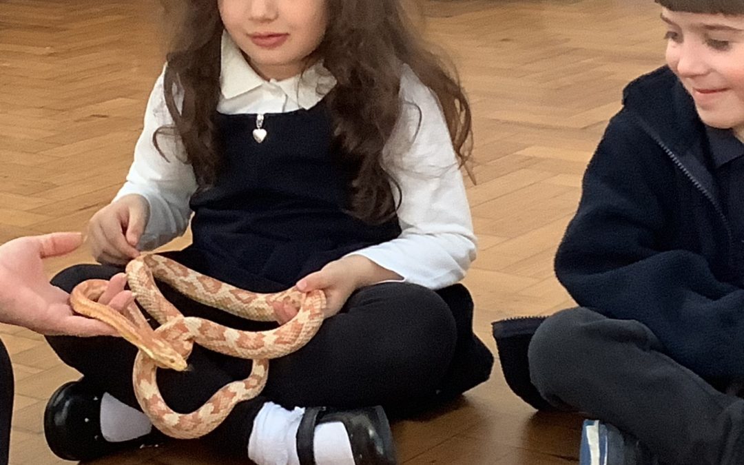 Animal Encounter